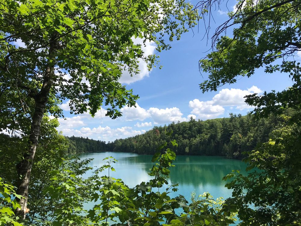View of turquoise lake and forest at in the background through trees in the foreground at Pink Lake in Gatineau Park in the summer.